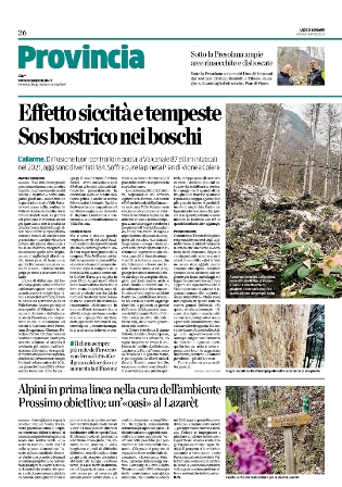 articolo eco piccolo