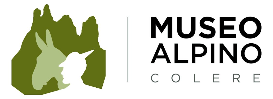 logo museoalpino