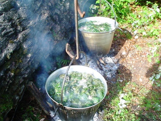mangia e cammina 007