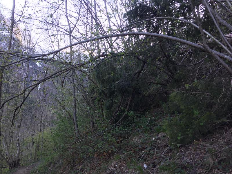 IMG 20190430 WA0011