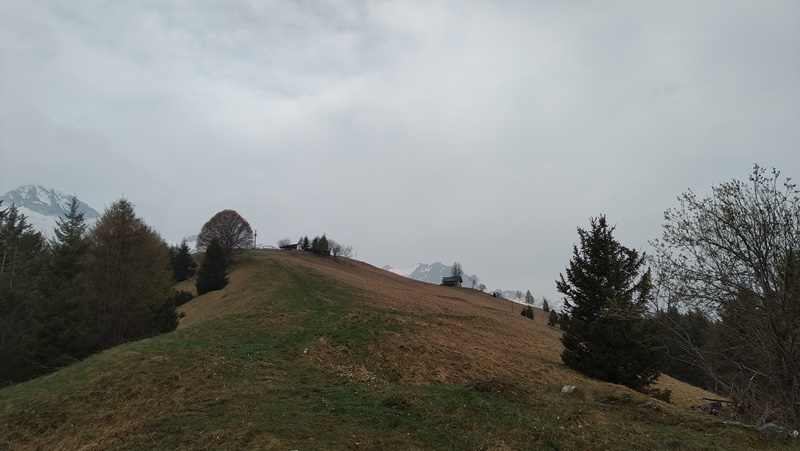 IMG 20190511 072356