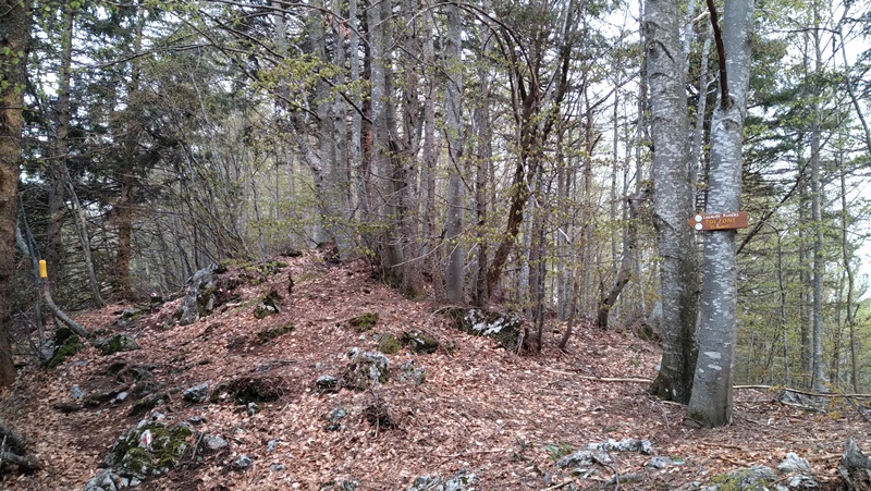 IMG 20190511 073428