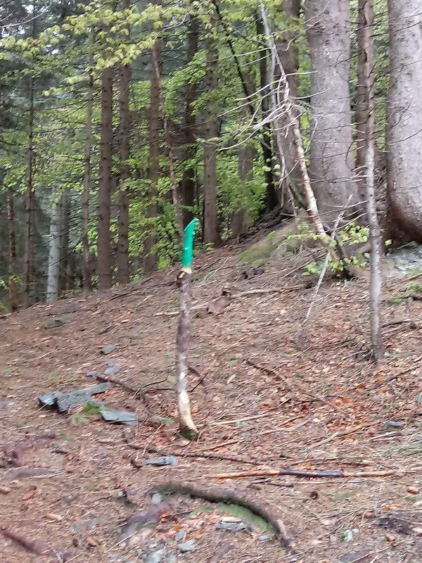 IMG 20190518 WA0001