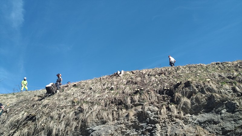 IMG 20190330 103513